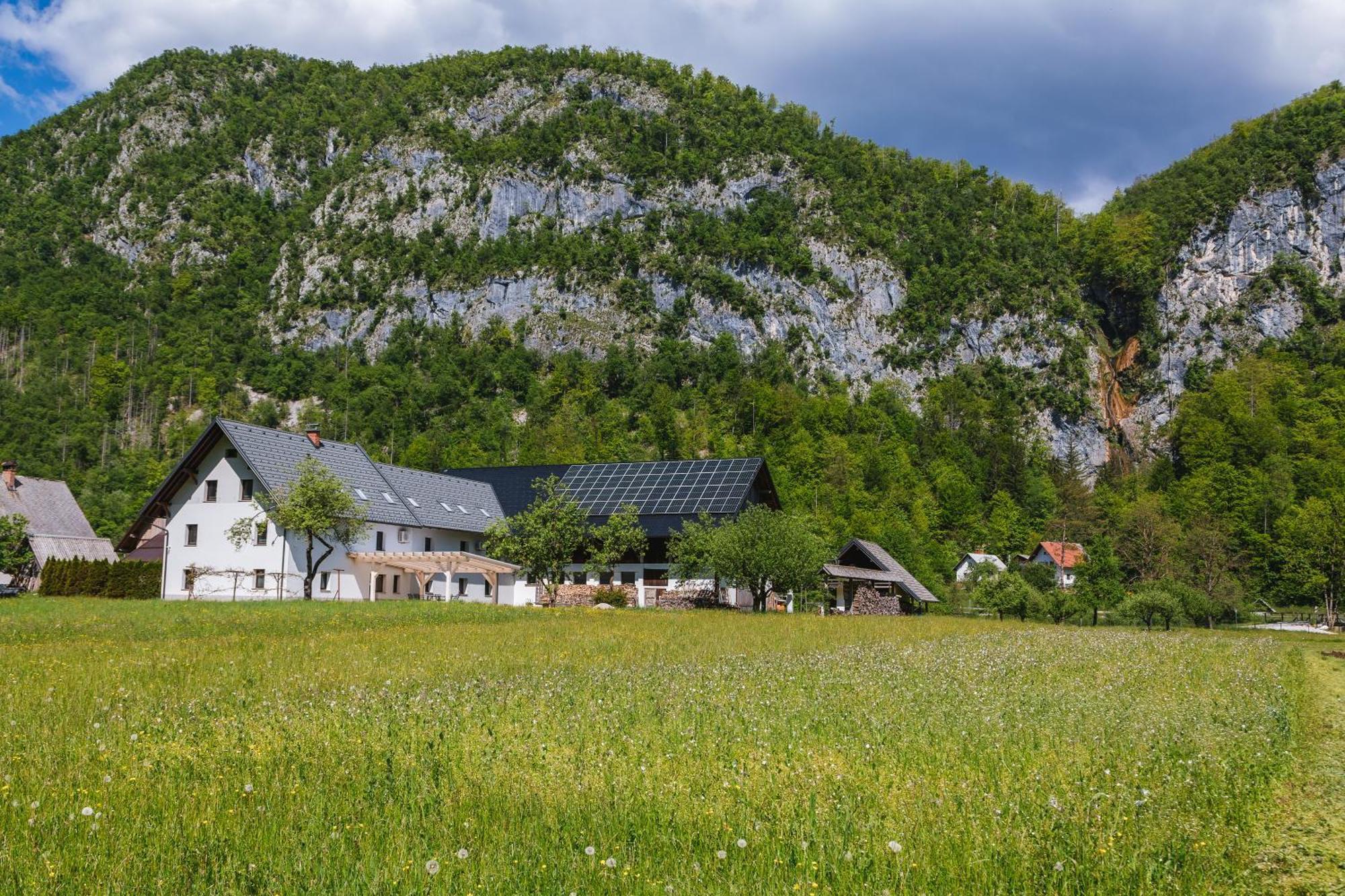 Вилла Domacija Log V Bohinju Бохиньска-Быстрица Экстерьер фото