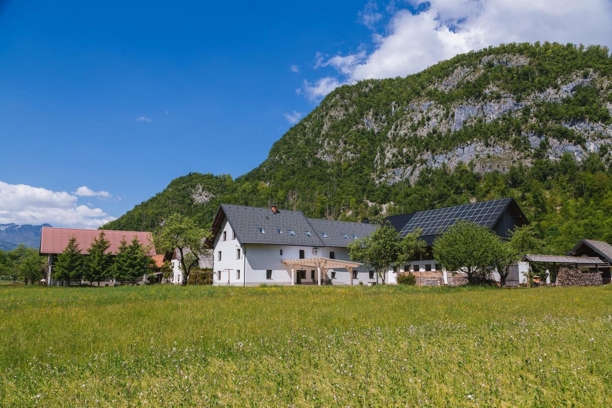 Вилла Domacija Log V Bohinju Бохиньска-Быстрица Экстерьер фото