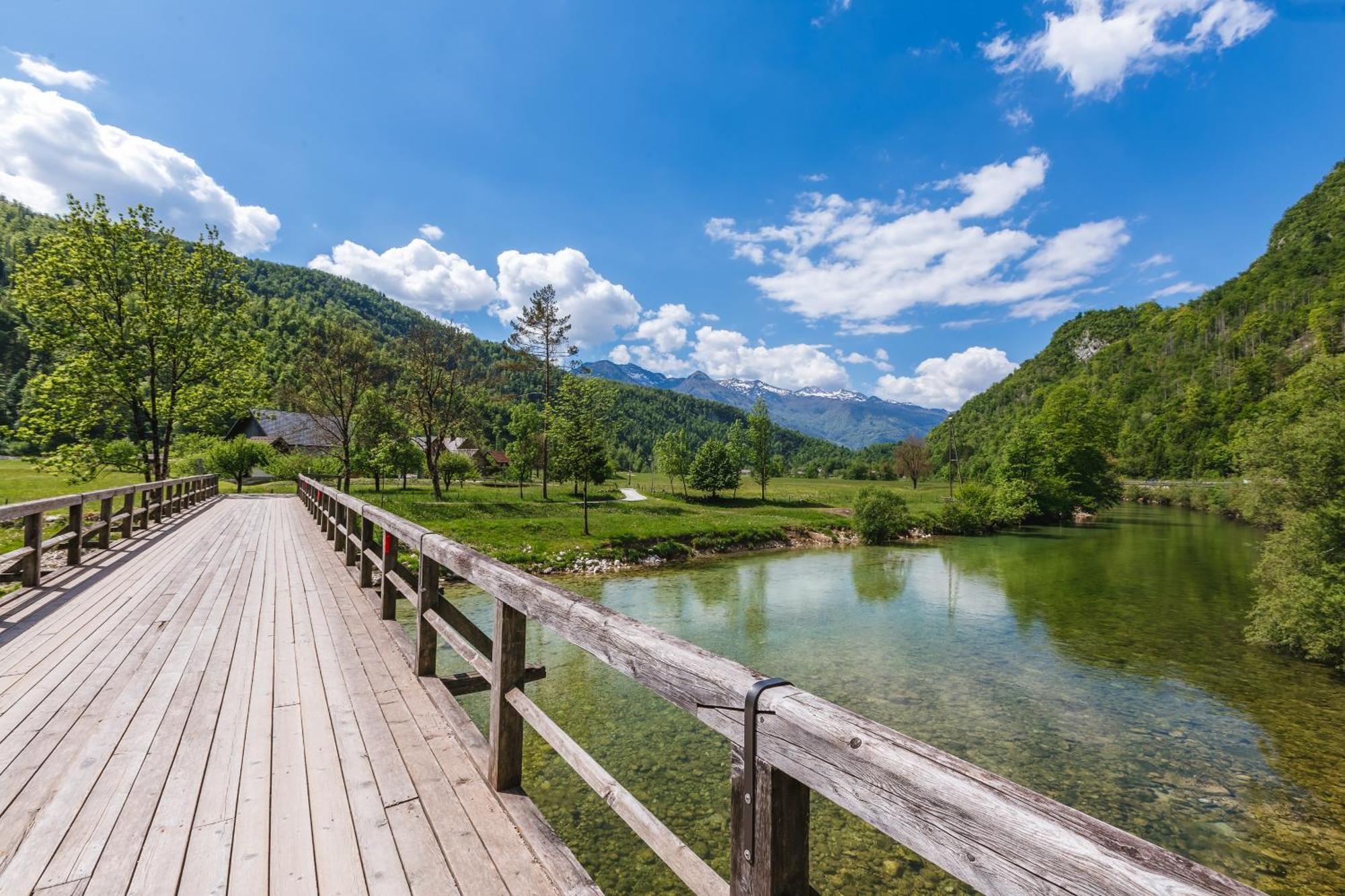 Вилла Domacija Log V Bohinju Бохиньска-Быстрица Экстерьер фото