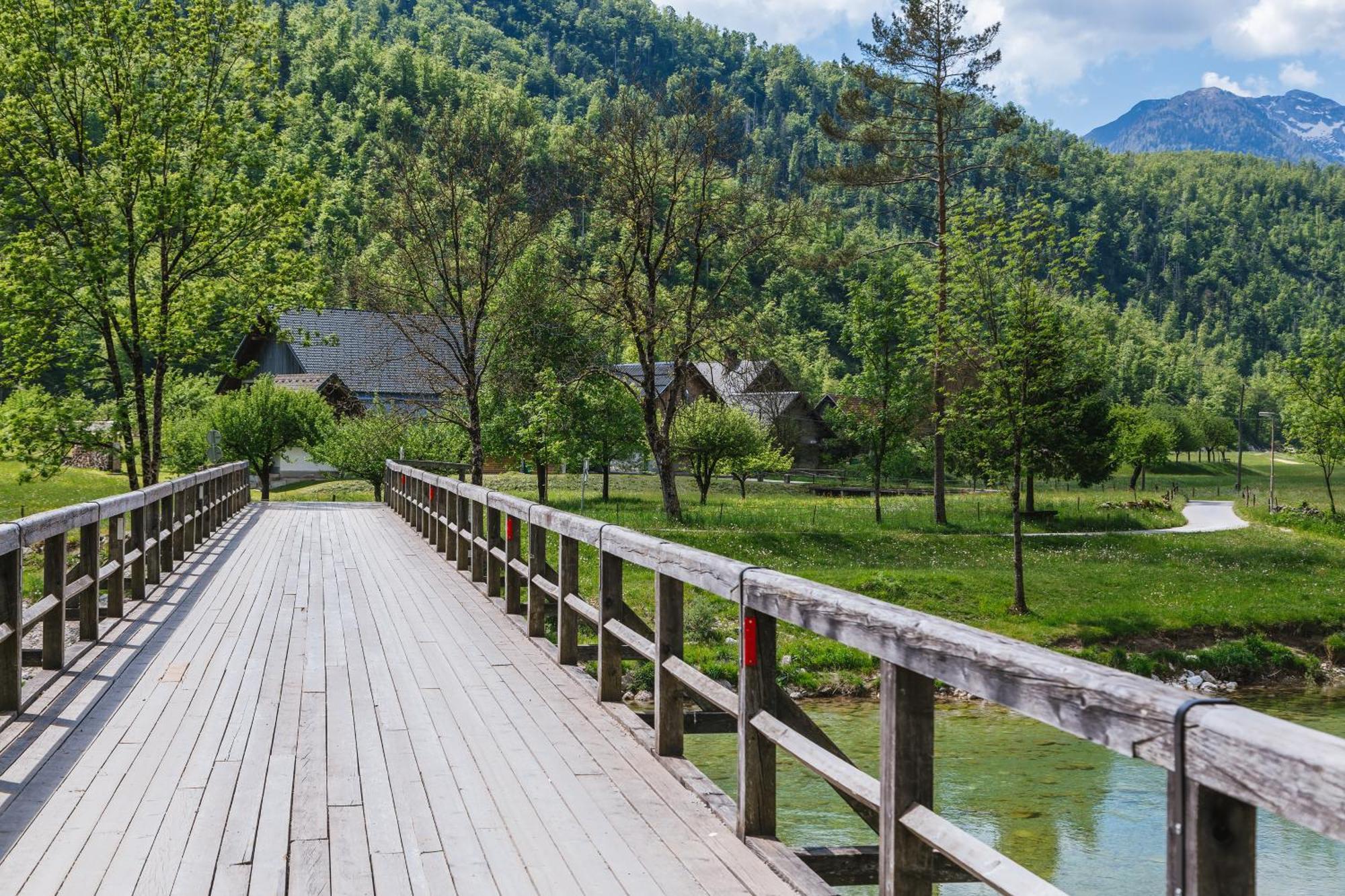 Вилла Domacija Log V Bohinju Бохиньска-Быстрица Экстерьер фото