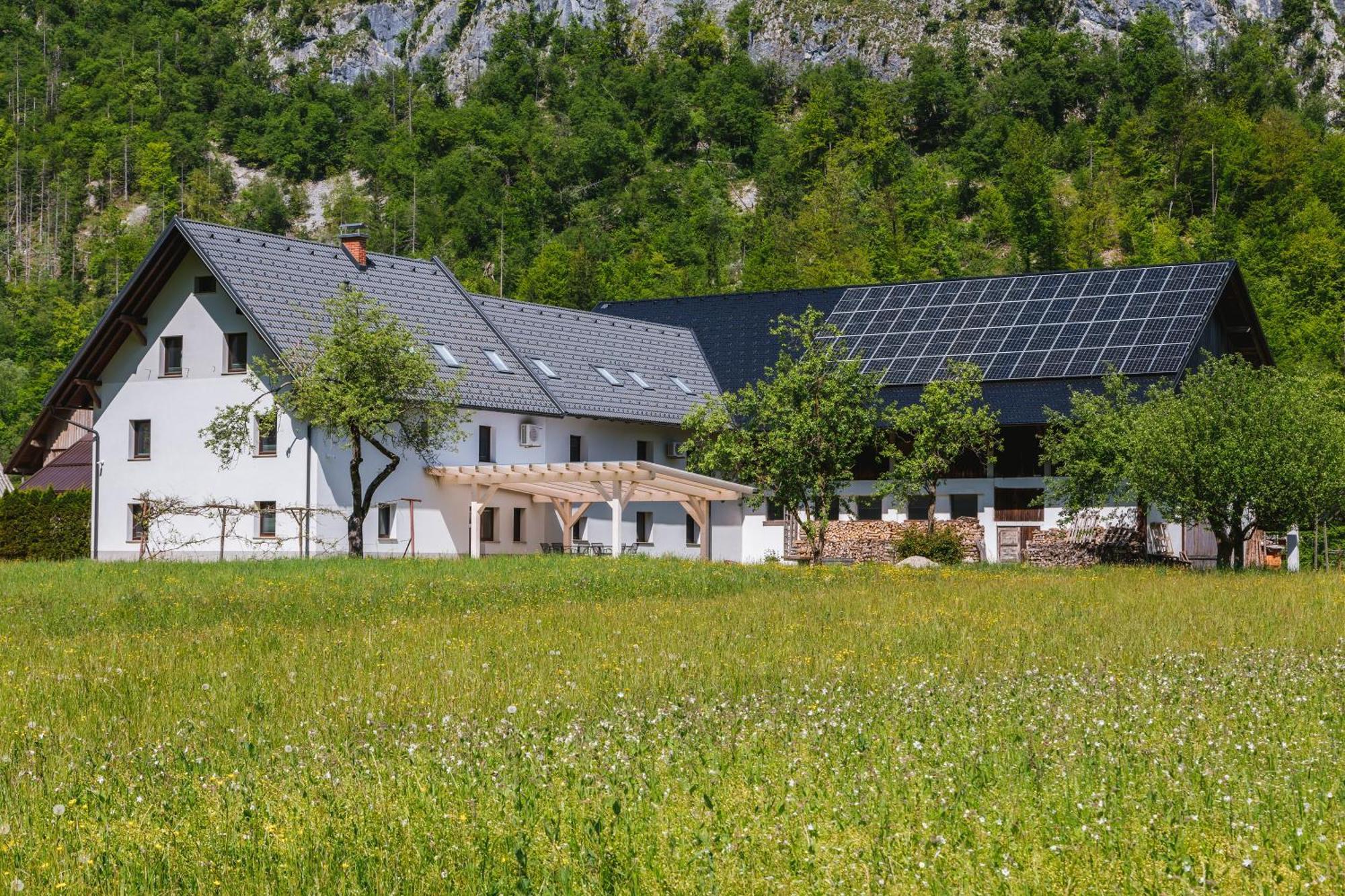 Вилла Domacija Log V Bohinju Бохиньска-Быстрица Экстерьер фото